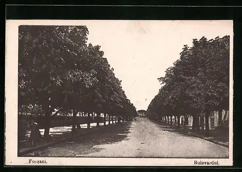 AK Focsani, Bulevardul