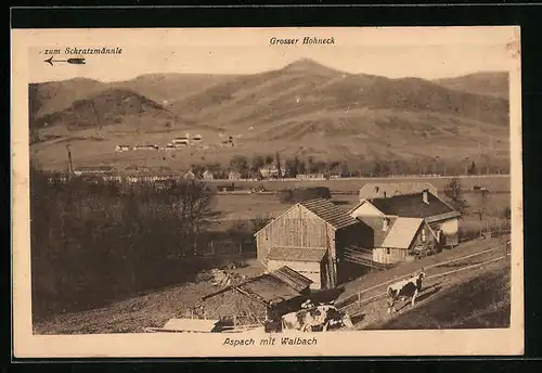 AK Aspach mit Walbach, Hütte gegen grossen Hohneck