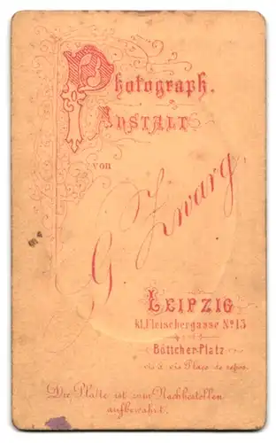 Fotografie G. Zwang, Leipzig, Kl. Fleischergasse 13, Gestandene Frau mit Hochsteckfrisur im zweifarbigen Rüschenkleid