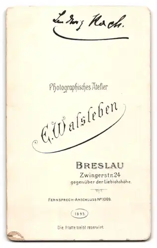 Fotografie E. Walsleben, Breslau, Zwingerstr. 24, Junger Herr im Anzug mit Oberlippenbart