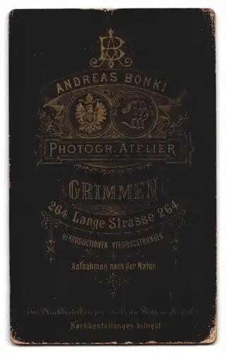 Fotografie Andreas Bönki, Grimmen, Lange Str. 264, Junge Dame im Kleid mit Halskette