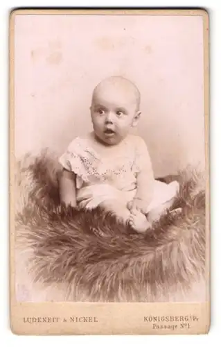 Fotografie Ludeneit & Nickel, Königsberg, Passage 1, Baby im Kleidchen auf einem Fell
