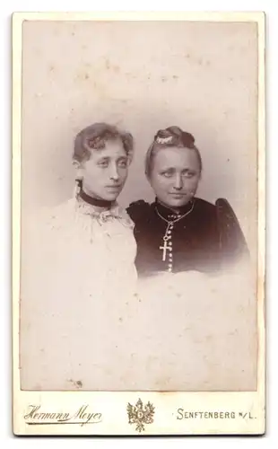 Fotografie Herm. Meyer, Senftenberg, Ansicht Senftenberg N. L., Wohnhaus mit Foto-Atelier, Rückseitig Damen Portrait