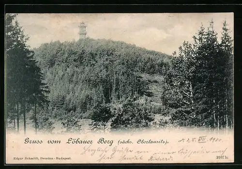 AK Löbau /sächs. Oberlausitz, Blick auf den Löbauer Berg