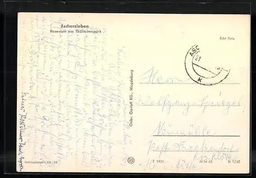 AK Aschersleben, Rosarium am Thälmannpark
