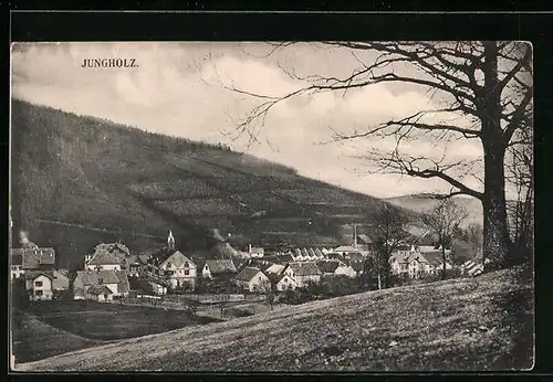 AK Jungholz, Panorama