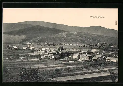 AK Winzenheim, Panorama
