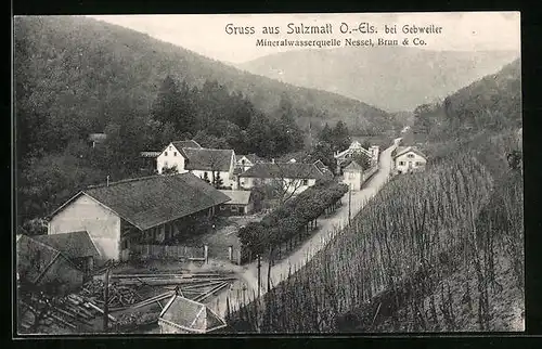 AK Sulzmatt /O.-Els. bei Gebweiler, Mineralwasserquelle Nessel, Brun & Co.