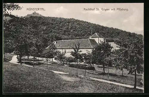 AK St. Gilgen, Pachthof St. Gilgen mit Pflixburg, Münstertal