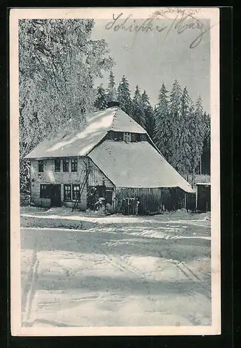 AK Schierke /Harz, Villa Mook im Schnee