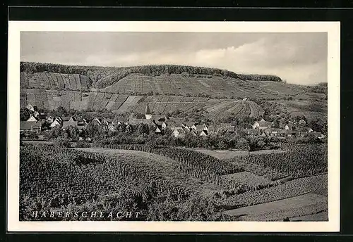 AK Haberschlacht, Totalansicht mit Weinberg