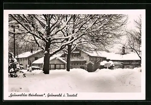 AK Grünwald /Isartal, Gasthaus Grünwalder Weinbauer