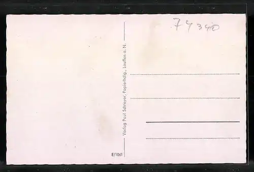 AK Lauffen a. N., Rathaus, Burg