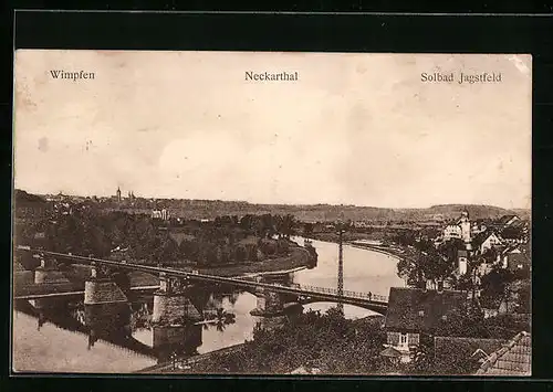AK Wimpfen, Totalansicht mit Jagstfeld