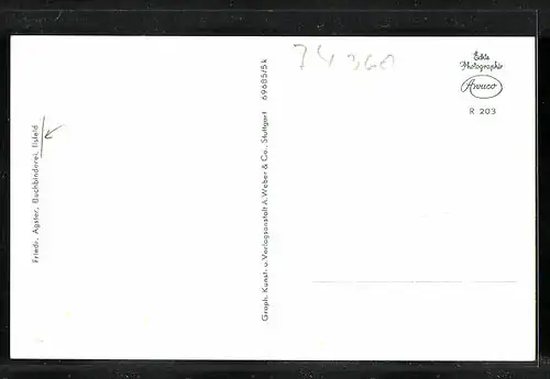 AK Ilsfeld, Totalansicht vom Feld aus