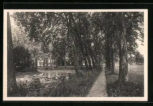 AK Besigheim a. N., Alleeweg neben einem Teich