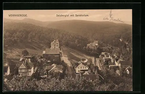 AK Wernigerode, Salzbergtal mit Sanatorium