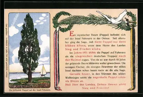 AK Fehmarn, Die blühende Pappel