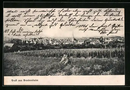 AK Brackenheim, Totalansicht mit Kirche