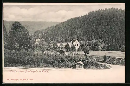 AK Paulinzelle i. Thür., Blick zur Klosterruine