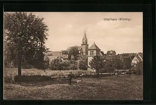 AK Güglingen /Württ., Ortsansicht mit Förster