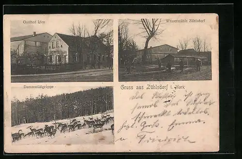 AK Zühlsdorf i. Mark, Gasthof Iden, Wassermühle, Dammwildgruppe im Schnee