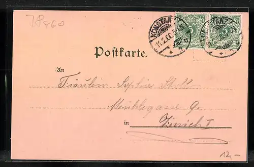 Lithographie Konstanz, Panorama mit Frosch-Gesangsgruppe und Dampfer