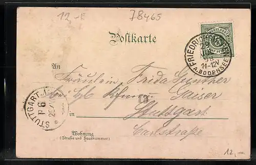 Lithographie Insel Mainau, Schlosshof mit Kirche, Schloss