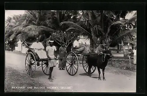 AK Ceylon, Rickshaw and Bullock Hackery, Rikscha-Fahrer mit Fahrgast