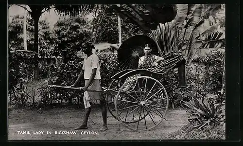 AK Ceylon, Tamil Lady in Rickshaw, Rikscha-Fahrer mit Fahrgast