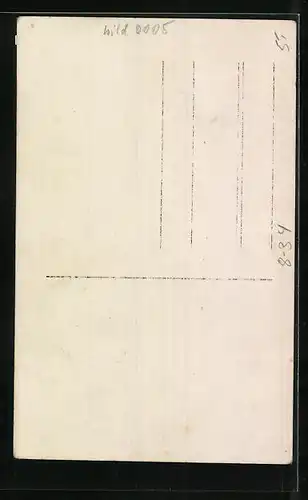 AK Junge Frau am Spinnrad