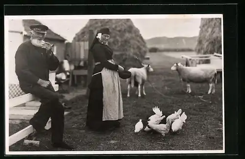 AK Terschelling, Niederländischer Bauer mit Frau, Schafen & Hühnern