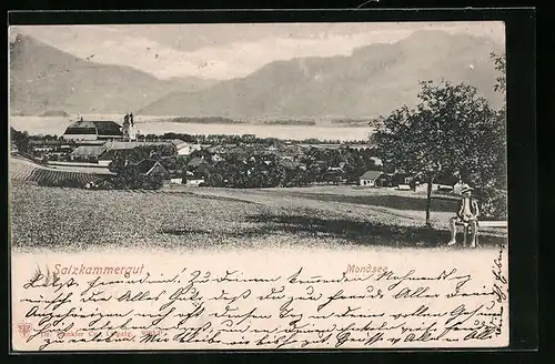 AK Mondsee, Totalansicht aus der Vogelschau