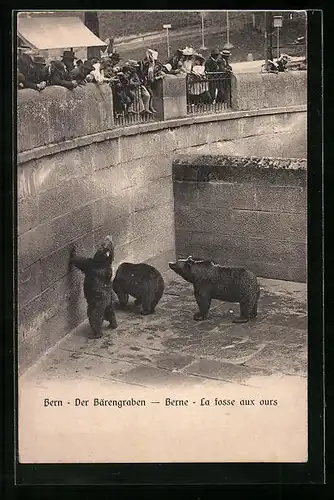 AK Bern, Der Bärengraben