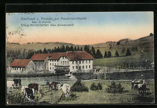 AK Steig-Hinterzarten, Gasthaus und Pension zur Ravennaschlucht