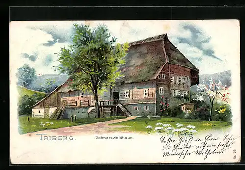 AK Triberg, Schwarzwaldhaus