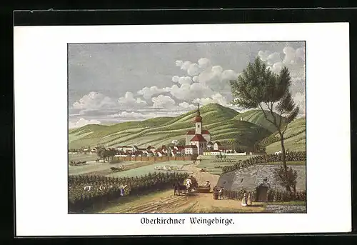Künstler-AK Oberkirch /Baden, Oberkirchner Weingebirge
