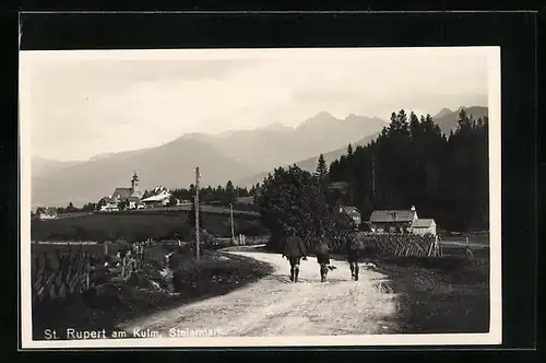 AK St. Rupert am Kulm, Strassenpartie mit Blick zum Ort