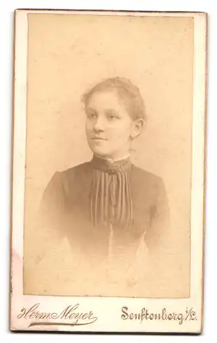 Fotografie Herm. Meyer, Senftenberg N. L., Fotograf mit Plattenkamera, Rückseitig Damen Portrait