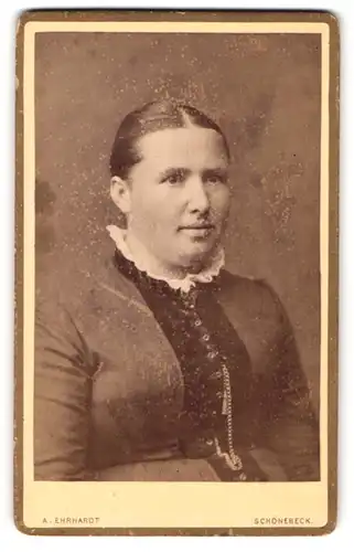 Fotografie A. Ehrhardt, Schönebeck, Salzerstrasse 24, Junge Frau im gutbürgerlichen Kleid mit Rüschenkragen