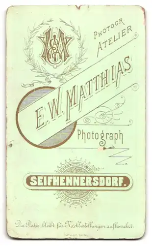 Fotografie E. W. Matthias, Seifhennersdorf, Junge Dame mit Hochsteckfrisur im gestreiften Kleid mit Schleife am Kragen