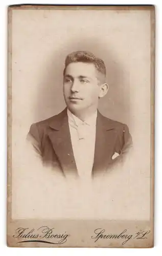 Fotografie Julius Boesig, Spremberg /Niederlausitz, Dresdener Strasse 33, Heranwachsender mit Oberlippemflaum im Anzug