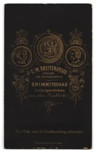 Fotografie C. W. Breitengross, Crimmitschau, Leipzigerstrasse, Mann mit gepflegtem Moustache im modischen Anzug