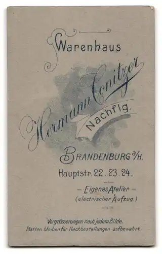 Fotografie Hermann Conitzer, Brandenburg /Havel, Hauptstrasse 22-24, Kleines Geschwisterpaar in bunten Rüschenkleidern