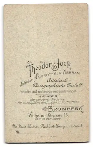 Fotografie Theodor Joop, Bromberg, Wilhelmstr. 15, Geschwisterduo, er sitzt auf ihrem Schos