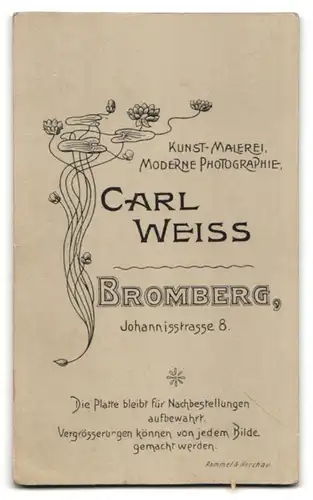 Fotografie Carl Weiss, Bromberg, Johannisstrasse 8, Schick gekleideter Herr mit Schnauzer