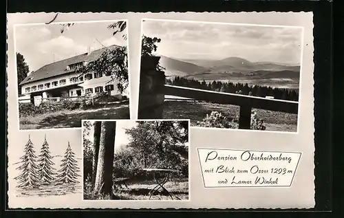 AK Lohberg, Hotel-Pension Oberhaiderberg, Blick zum Osser und Lamer Winkel