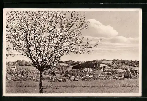 AK Ortenburg i. Niederbayern, Ortsansicht mit blühendem Baum
