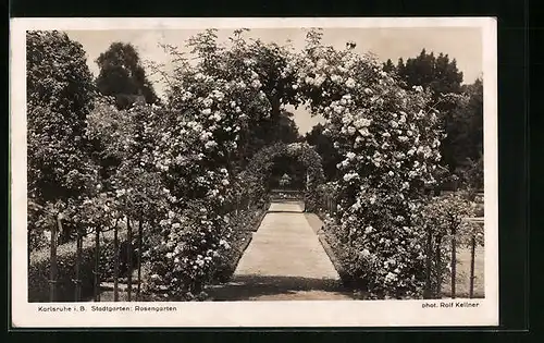 AK Karlsruhe i. B., Stadtgarten mit Rosengarten