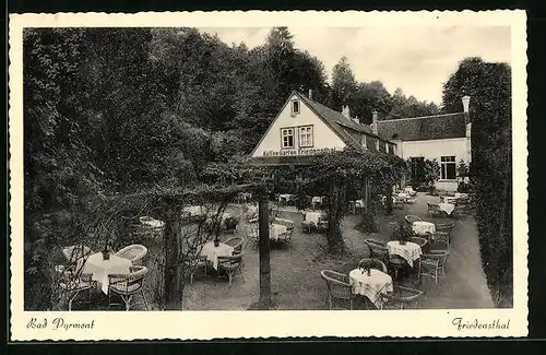AK Friedensthal /Bad Pyrmont, Kaffee-Garten Friedensthal